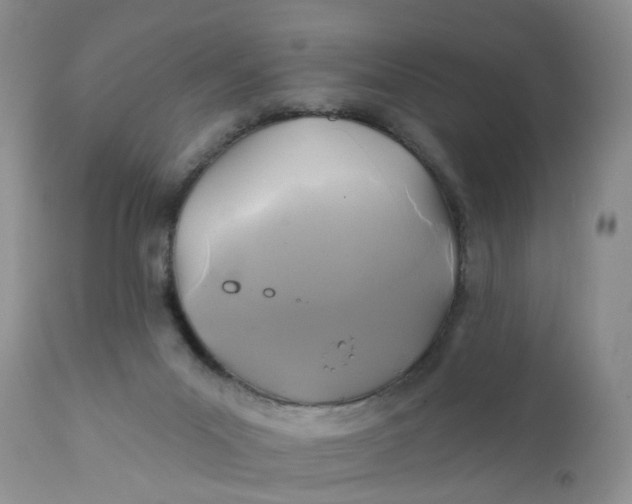 X0000112030023200908241549