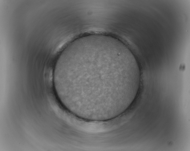 X0000112030024200908241549