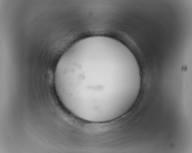 X0000112030025200908241549