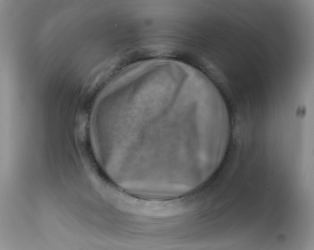 X0000112030026200908241549