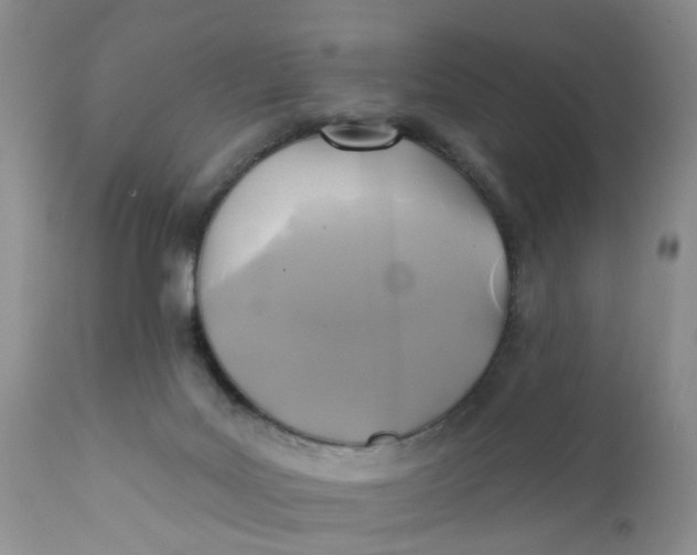 X0000112030027200908241549