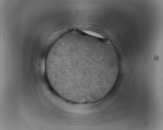 X0000112030028200908241549