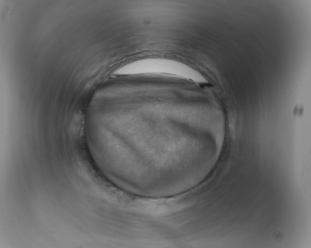 X0000112030029200908241549