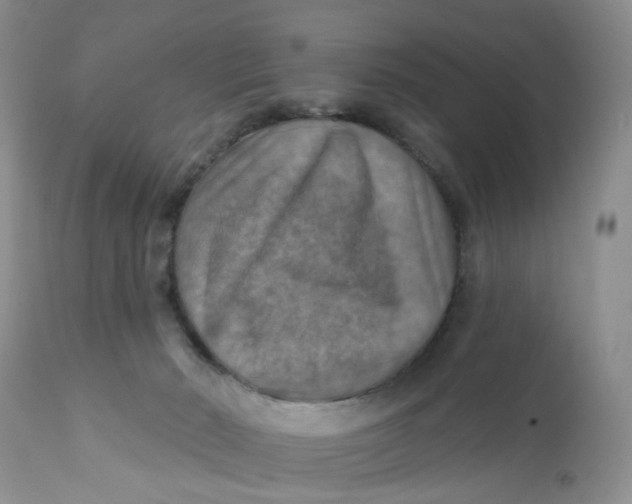 X0000112030030200908241549