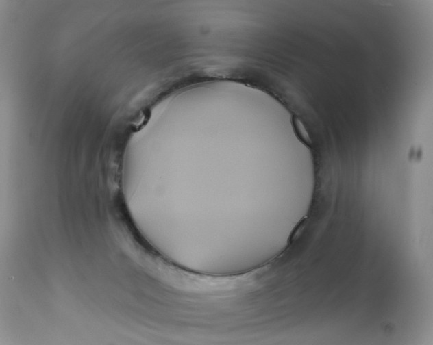 X0000112030031200908241549