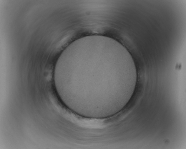 X0000112030032200908241549