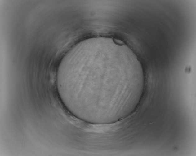X0000112030033200908241549