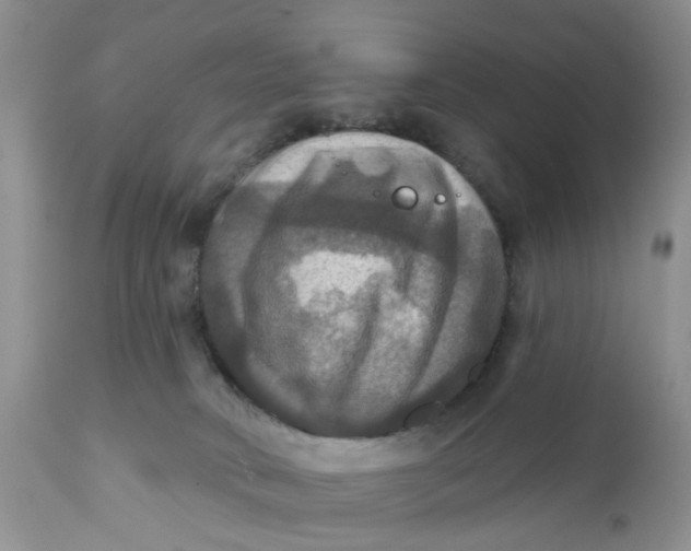X0000112030034200908241549