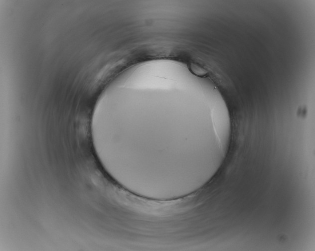 X0000112030035200908241549