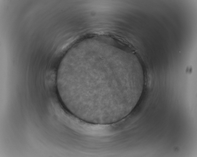 X0000112030036200908241549