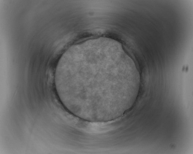 X0000112030037200908241549