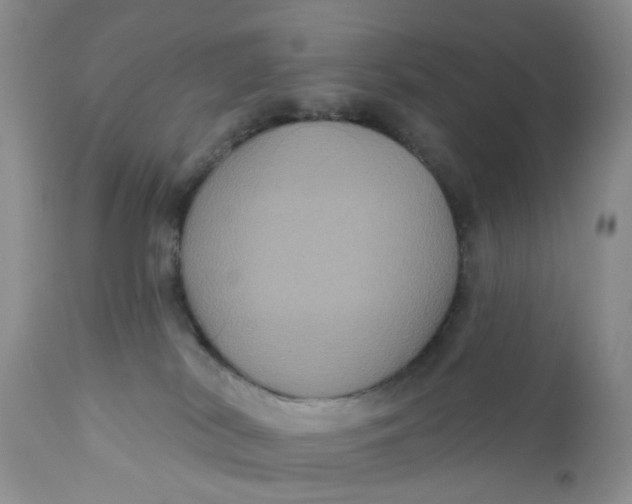 X0000112030038200908241549