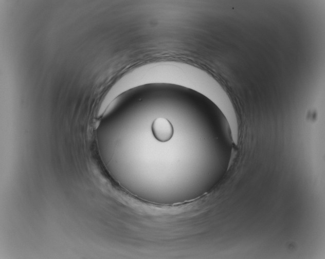X0000112030039200908241549