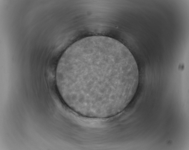 X0000112030040200908241549