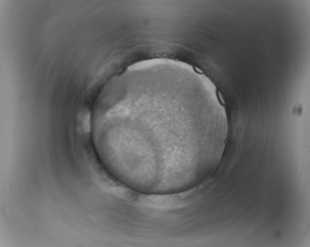 X0000112030041200908241549