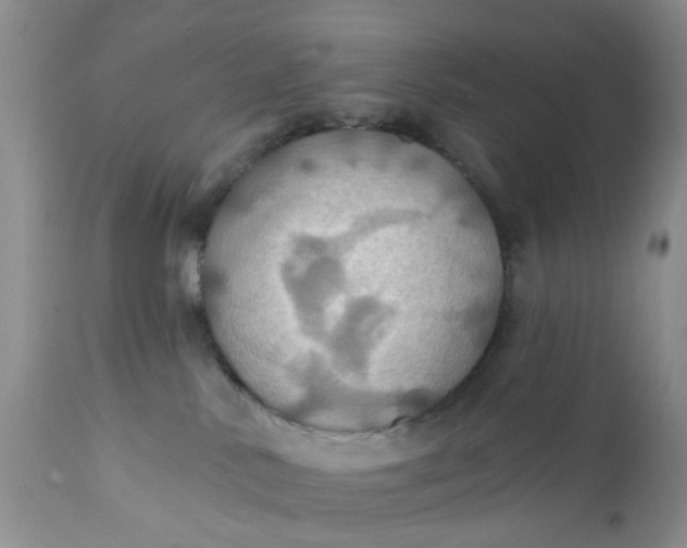 X0000112030042200908241549