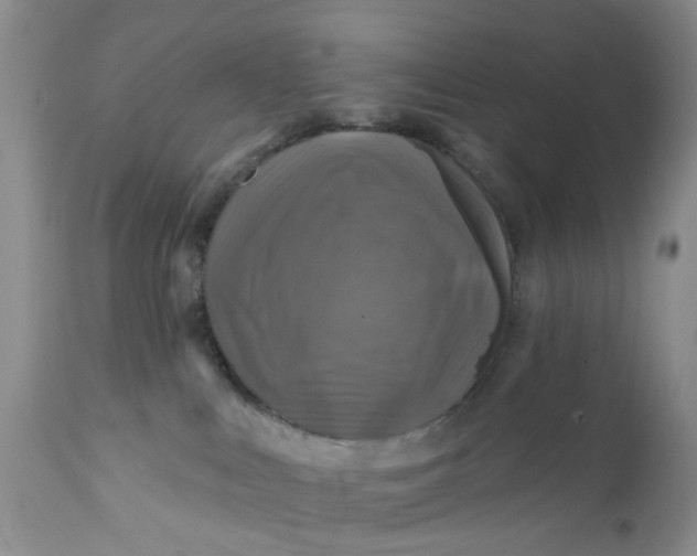 X0000112030043200908241549
