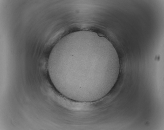 X0000112030044200908241549