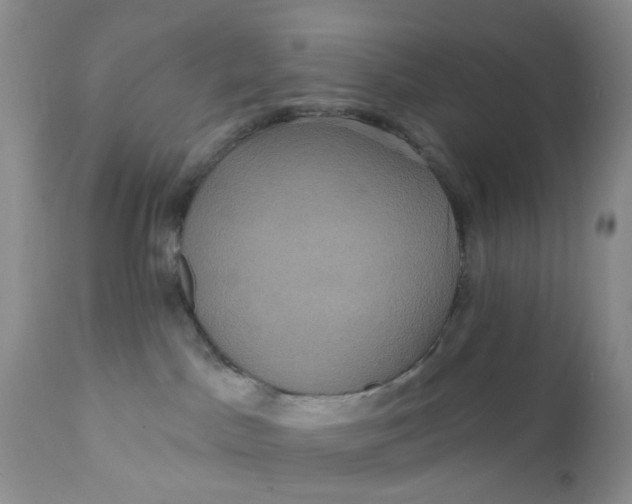 X0000112030045200908241549
