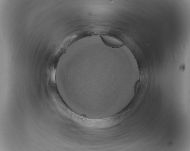 X0000112030046200908241549