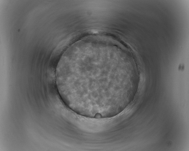 X0000112030048200908241549