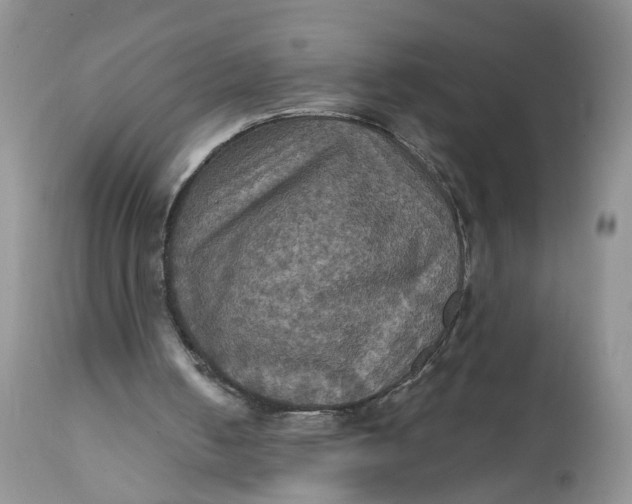 X0000112030050200908241548