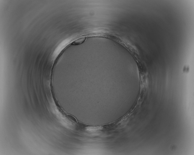 X0000112030051200908241548