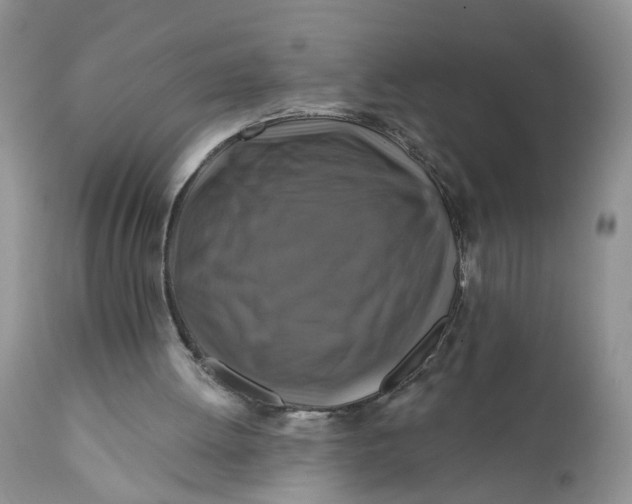 X0000112030052200908241548