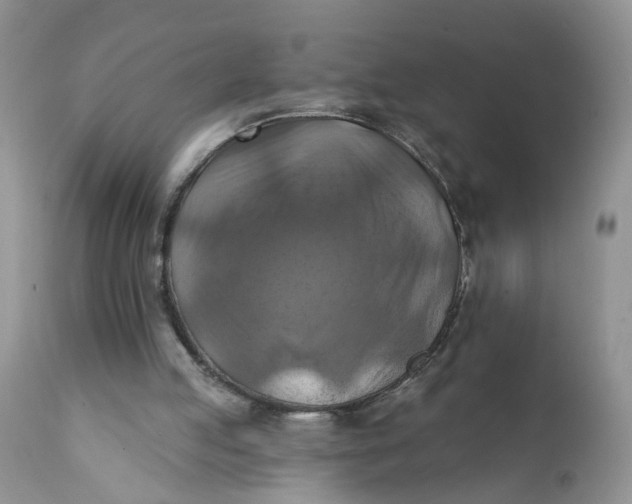 X0000112030053200908241548