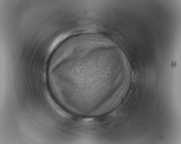 X0000112030054200908241548