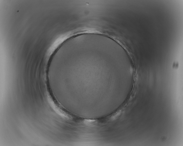 X0000112030055200908241548