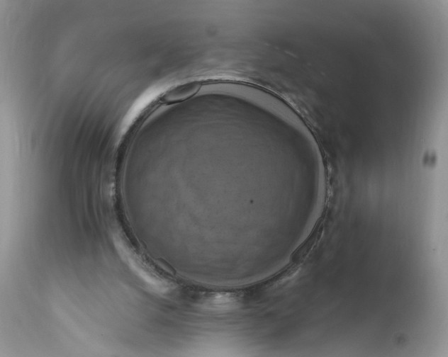 X0000112030056200908241548