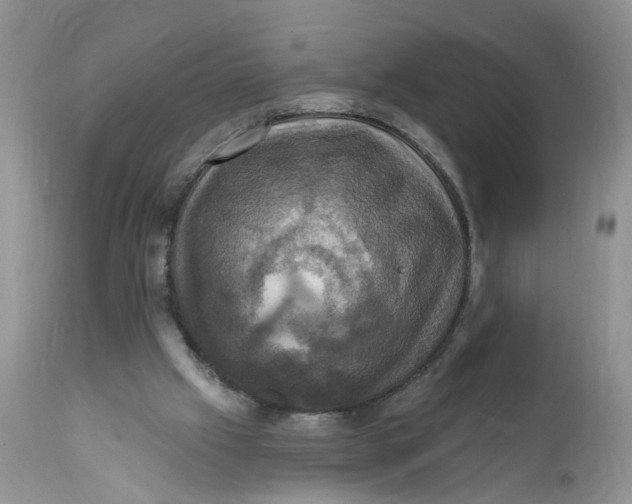 X0000112030057200908241548