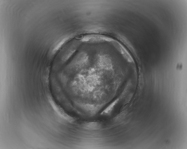 X0000112030058200908241548