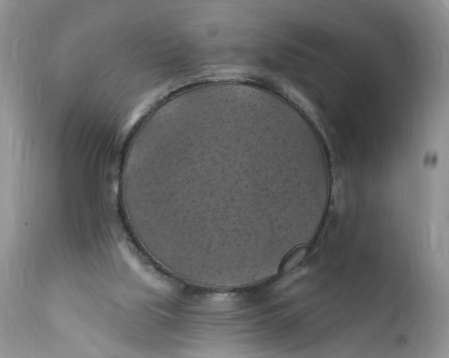 X0000112030059200908241548