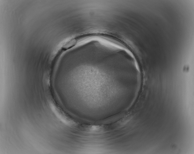 X0000112030060200908241548