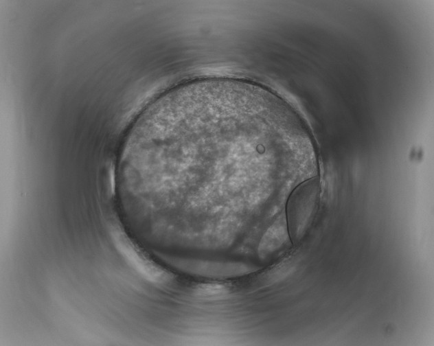 X0000112030061200908241548