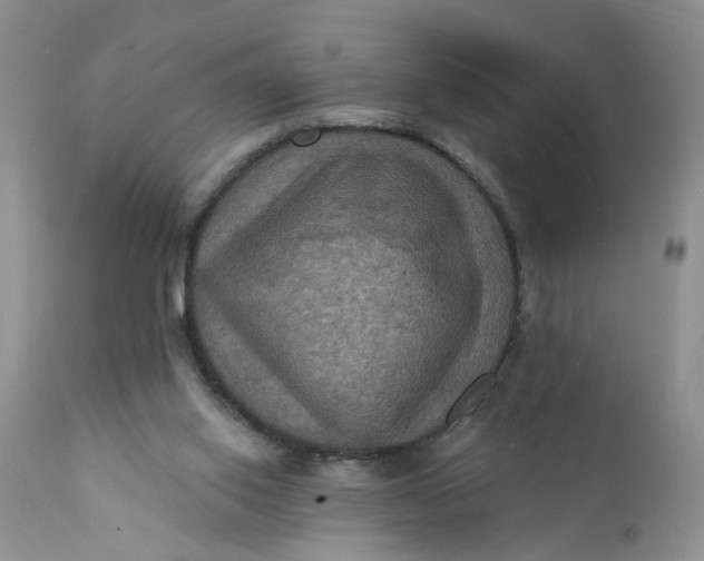 X0000112030062200908241548