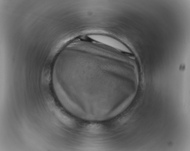 X0000112030063200908241548