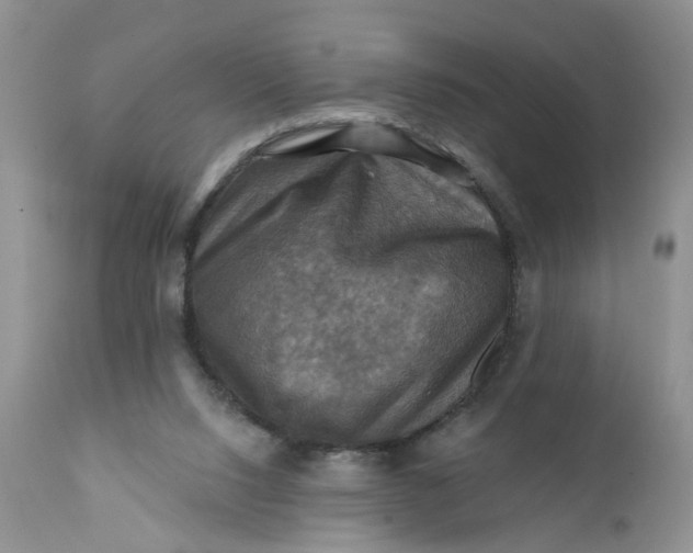 X0000112030064200908241548