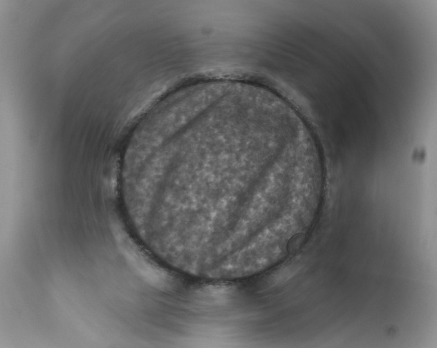 X0000112030065200908241548