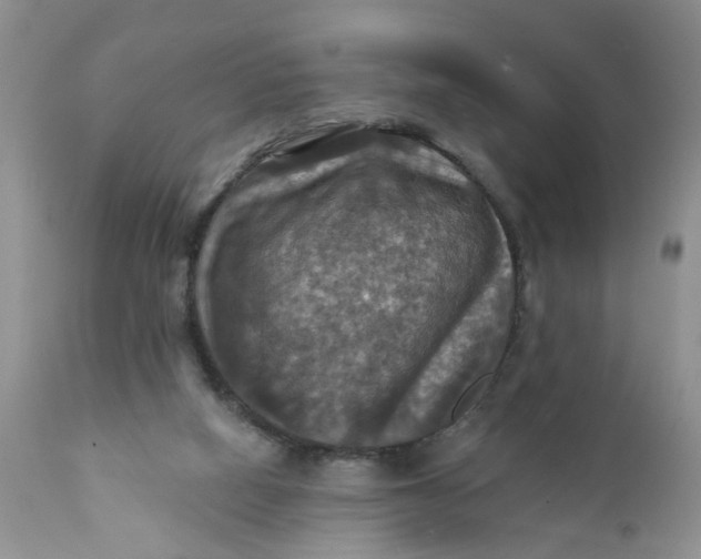 X0000112030066200908241548