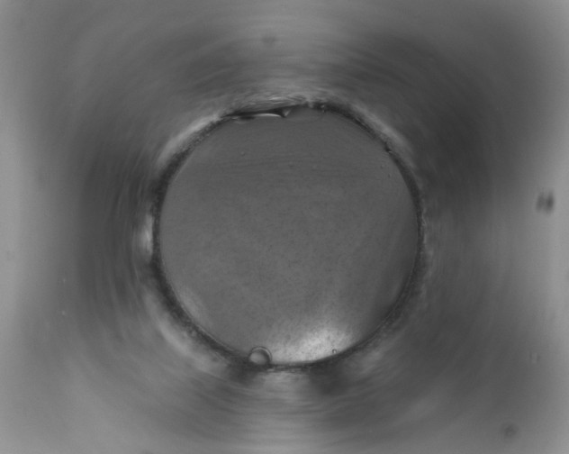 X0000112030067200908241548