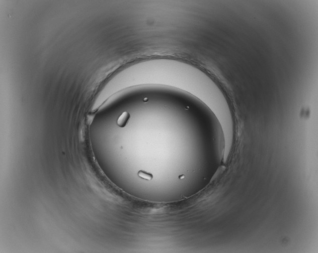 X0000112030068200908241548