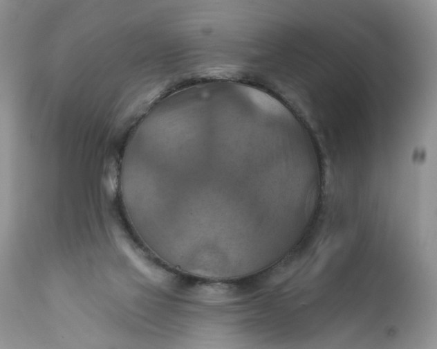 X0000112030069200908241548