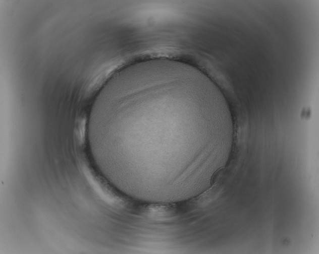 X0000112030070200908241548