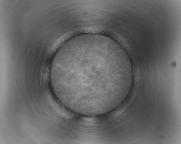 X0000112030071200908241548