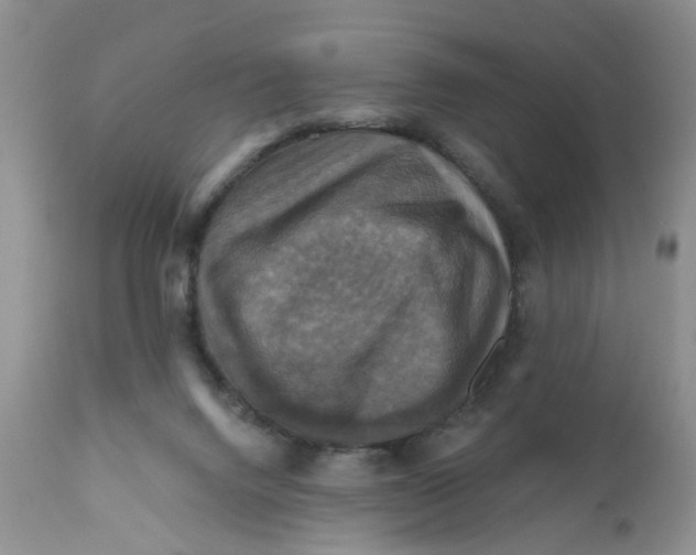 X0000112030072200908241548