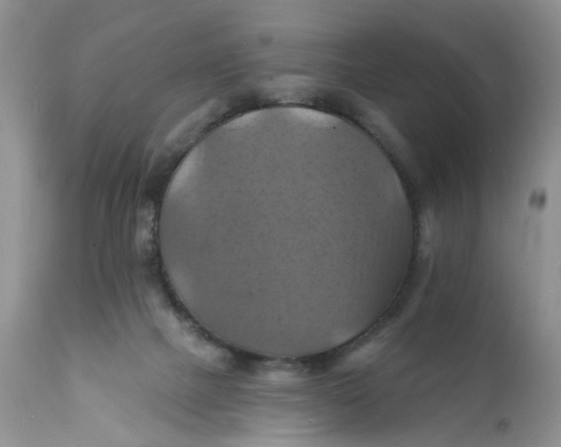 X0000112030073200908241548