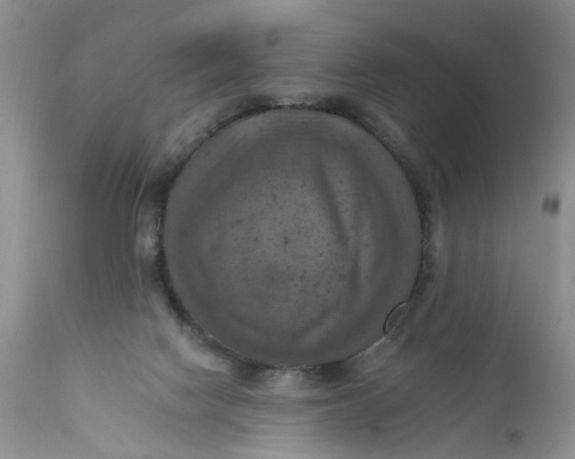 X0000112030074200908241548